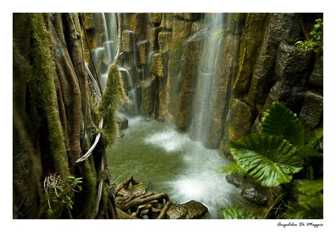Im Dschungel Foto And Bild Landschaft Wasserfälle Bach Fluss And See