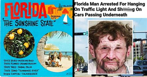 50 Wtf Florida Man Memes And Headlines To Feed Your Pool Gators Funny