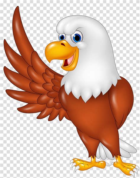 Animated Philippine Eagle Clipart 10 Free Cliparts Download Images On