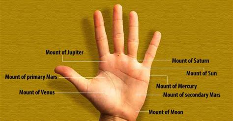 Do You Have A Mole On This Spot Of Your Palm Lifestyle Astrology