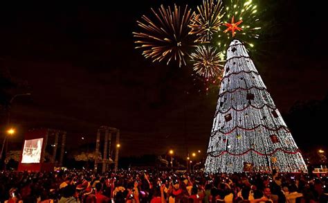 A Árvore de Natal do Parque Ibirapuera já é tradição do natal da