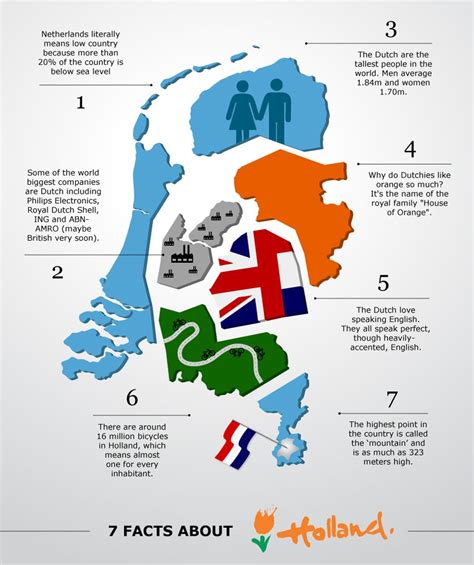 infographic with facts about holland love that i m going to feel short there in 2019
