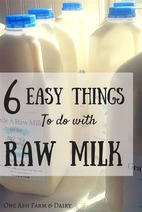 6 Easy Things To Do With Raw Milk One Ash Homestead Raw Milk Raw