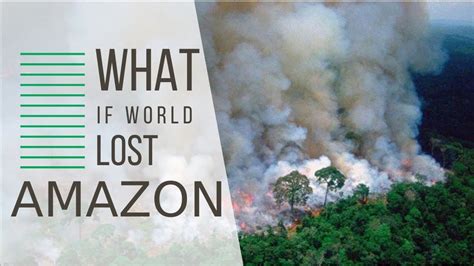 What If We Lost Amazon Rainforest Youtube