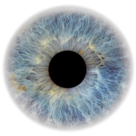 Download Hd Eye Pupil Png Image Transparent Blue Eyes Png Transparent