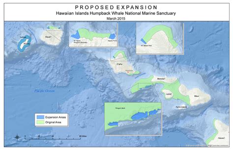 Noaa Proposes Expanding Focus Boundaries Of Hawaiian Islands Humpback
