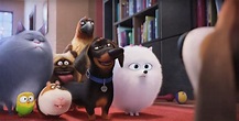Is 'The Secret Life Of Pets' Appropriate For Kids? It's Silly, Innocent Fun