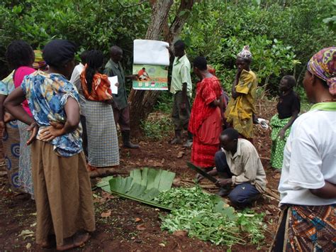 The Farmer Field School Ffs Hort Crsp Uganda New Models For