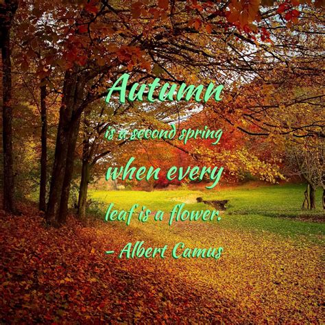 Autumn Is A Second Spring When Every Leaf Is A Flower Albert Camus