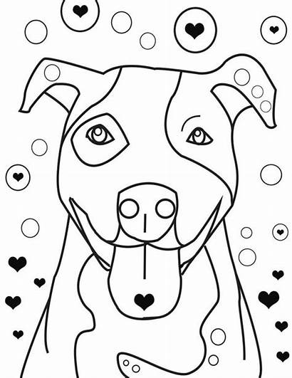 Pitbull Coloring Pages Falling Puppy Drawing Realistic