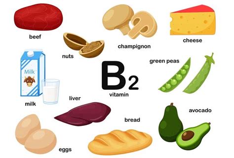 Riboflavinvitamin B2 Importance Food Sources Deficiency And