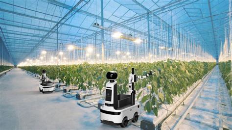 Robots Enter The Greenhouse Cloudminds Picking Robots Help Unmanned