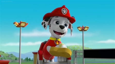 Paw Patrol Ready Race Rescue Clip Marshall Being A Huge Pup Fan Of The