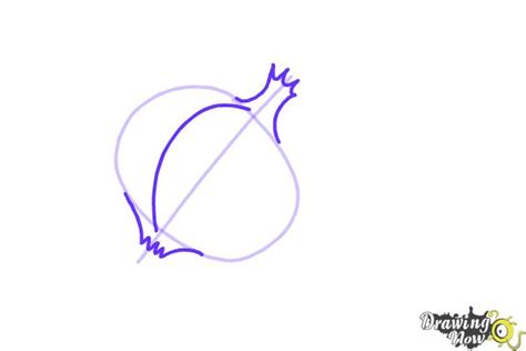 How To Draw An Onion Drawingnow