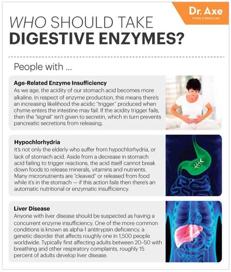 Taking digestive enzymes is usually suggested before meals or in the morning before your day starts but depending on your natural enzyme levels along with the reactions your body goes through with the specific foods you eat, it can all depend. Absorb More Nutrients with Digestive Enzymes - Dr. Axe