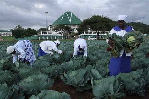 Pictorial Easter At Mbungo Zcc Celebrations The Sunday Mail