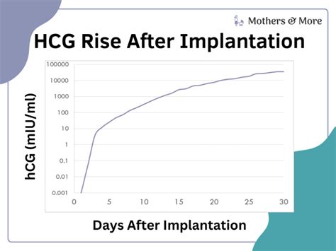How Long After Implantation Does Hcg Rise Mothers And More