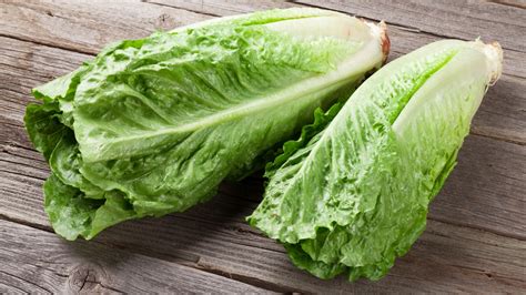 E Coli Outbreak In Romaine Lettuce Prompts Nationwide Warning From Cdc