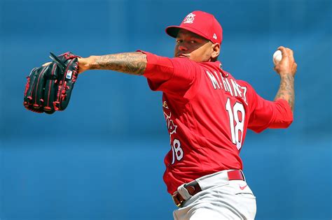 Mike carlson/mlb photos via getty images. St. Louis Cardinals: 14 teams in the playoffs would help the Cards in 2020