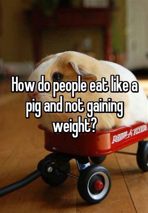 How Do People Eat Like A Pig And Not Gaining Weight