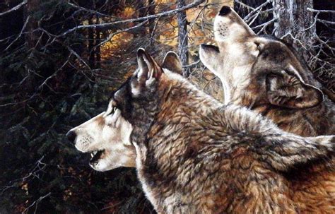 Wildlife Artist Andrew Kiss Wolf Pack Art Print Unity