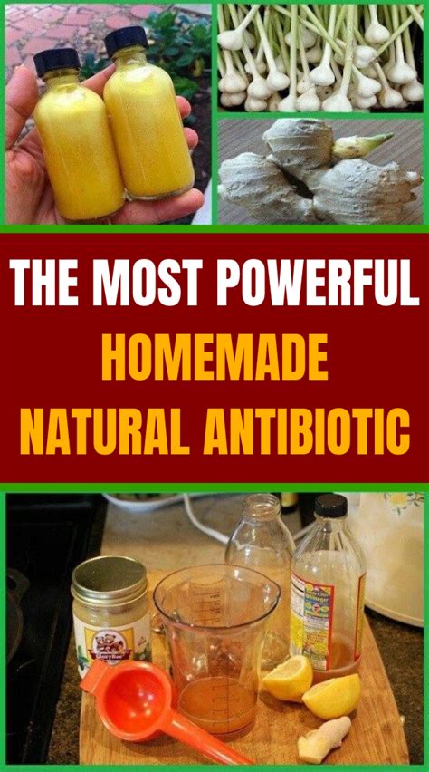 The Most Powerful Homemade Natural Antibiotic Holistic And Healthy