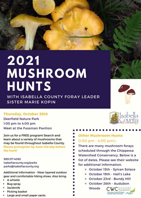 October Mushroom Hunt Isabella County Michigan