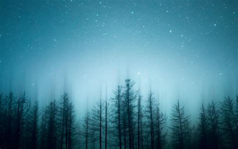 Download Wallpaper 1920x1200 Trees Pines Starry Sky Night Blur