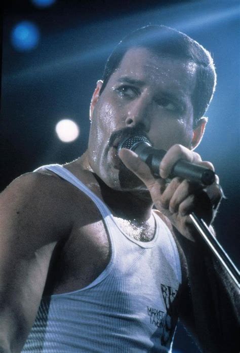 Freddie Freddie Mercury Photo 16534060 Fanpop
