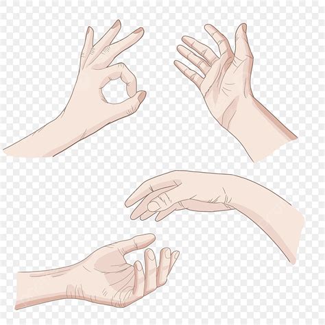 Hand Gestures Hd Transparent Hand Gestures Hand Gesture Ok Png