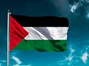 Palestine Flag available to buy - Flagsok.com