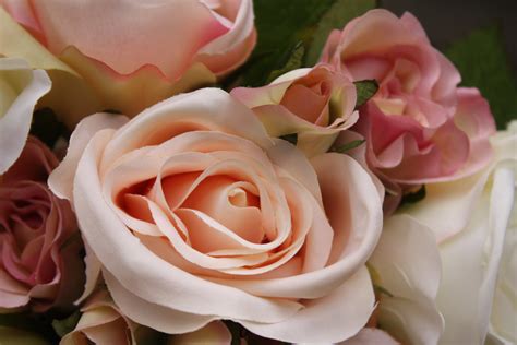 13 X Ivory Vintage Pink And Soft Peach Silk Roses And Buds Etsy