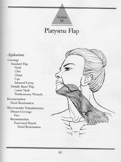 5e Platysma Flap Pdf