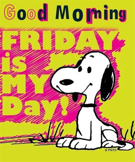Good Morning Friday Is My Day Pictures Photos And Images For Facebook Tumblr Pinterest And