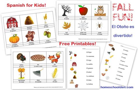 See more ideas about activities, austin activities, activities for kids. Free Spanish Worksheet: Parts of the Body - El Cuerpo ...