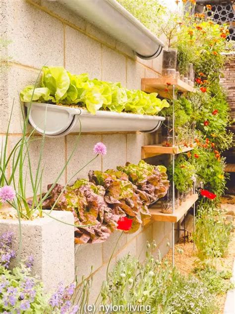 Creating An Incredible Green Wall Design With Green Wall Planters
