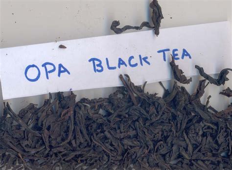 Fbop Black Tea Productssri Lanka Fbop Black Tea Supplier