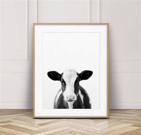 Cow Print Nursery Decor Baby Cow Print Animal Art Farm Etsy