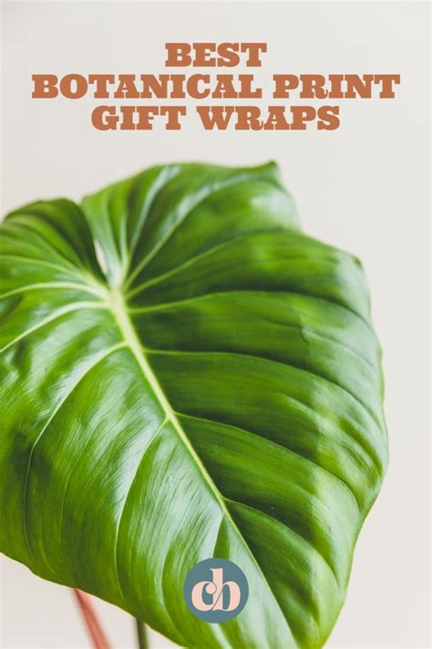 Maybe you would like to learn more about one of these? The Best Botanical Gift Wrap (With images) | Botanical ...