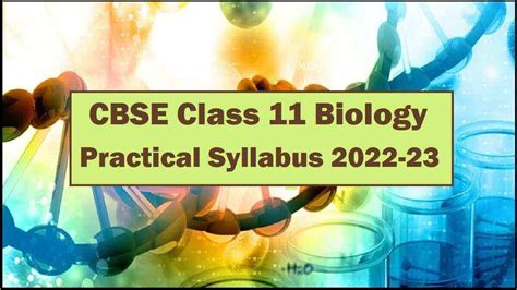 Cbse Class Biology Practical Syllabus Check Practical