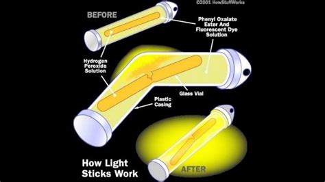 Brighten Up Your Day With Glow Stick Facts Youtube