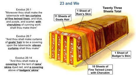 Curtains Of The Tabernacle In Exodus 26