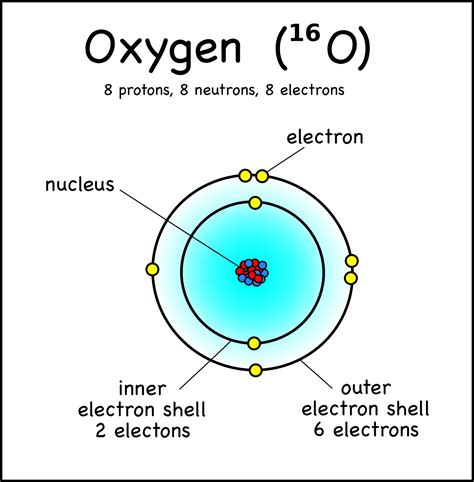 Wiring of the labeled diagram of atomic structure ought to begin at the bottom point from the trunk, and function up from there. Oxygen shells | Oxygen, Chemistry projects, Atom project