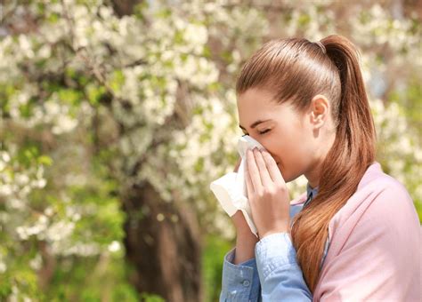 Alerte Rouge Aux Pollens Dambroisie Vers Un Mois De Septembre Record