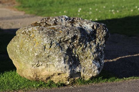 Rock Grass Boulder Large Free Photo On Pixabay Pixabay