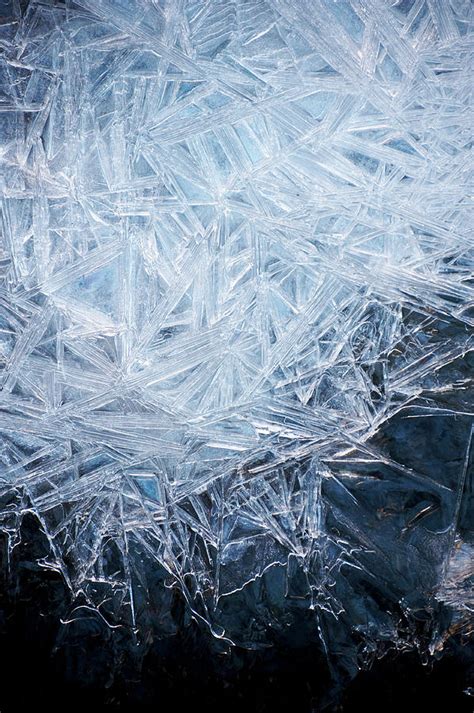 Ice Crystal Patterns Photograph By Skye Hohmann