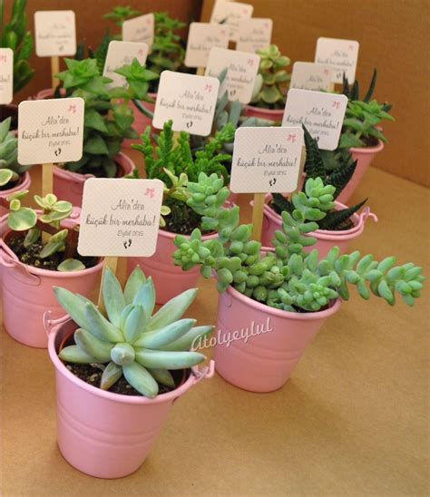 Give these homemade baby shower favors just before closing the party for that big gender reveal! Mini sukulent, mini succulent, kaktüs, cactus, wedding ...