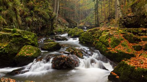 Download Wallpaper 3840x2160 River Stones Moss Stream Trees 4k Uhd