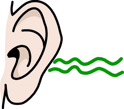 Hearing Clipart Free Download On Clipartmag