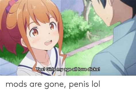 Yes Girls My Age All Love Dicks Mods Are Gone Penis Lol Anime Meme